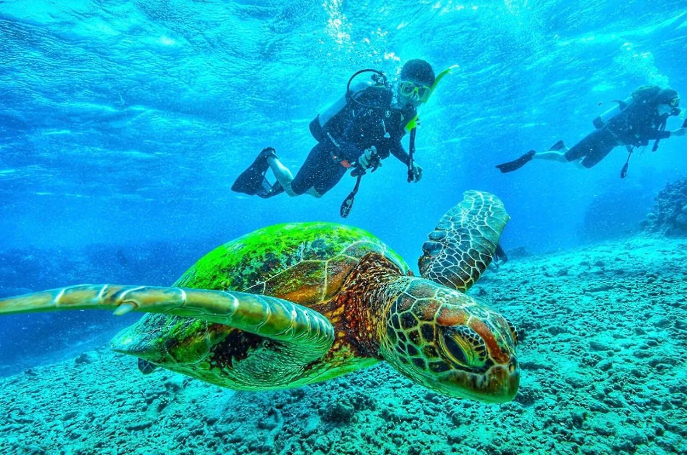 Fare Anaiti Moorea Iumaru